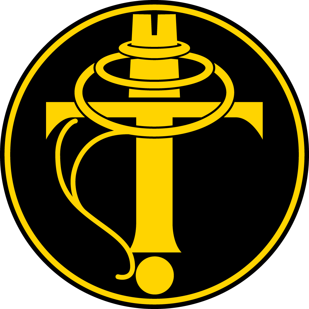 Tampa Bay Fencers Logo
